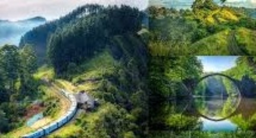 项目进度云 - 麻豆影视 - 云端项目进度实时查询系统